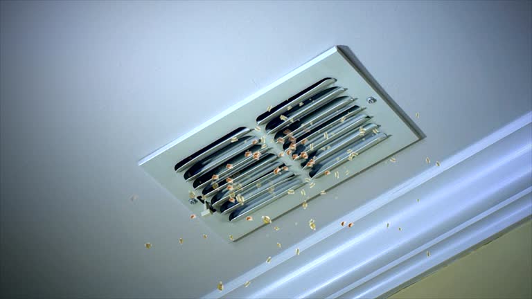 Best Home Air Vent Cleaning  in Hearne, TX