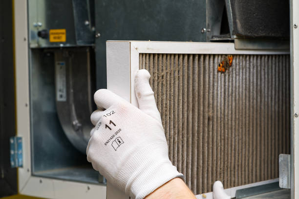 Best Air Quality Test  in Hearne, TX
