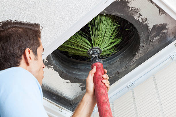 Best Professional Duct Cleaning Services  in Hearne, TX